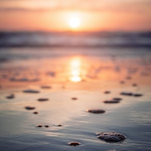 cole-keister-xMMh-VFGL9M-unsplash